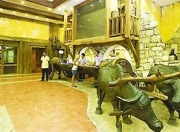 Vera Forest Camyuva